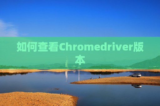 如何查看Chromedriver版本